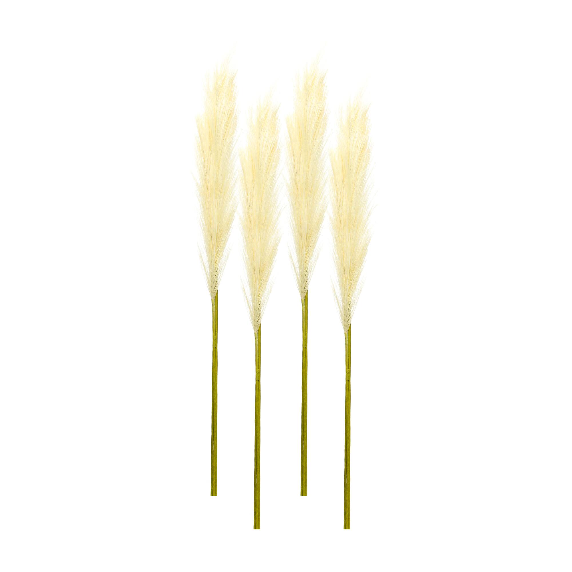 Cream Pampas Spray, 4ct.